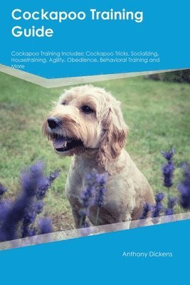 bokomslag Cockapoo Training Guide Cockapoo Training Includes