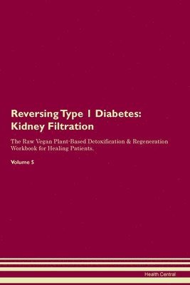 bokomslag Reversing Type 1 Diabetes