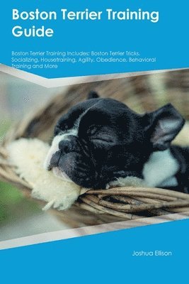 bokomslag Boston Terrier Training Guide Boston Terrier Training Includes