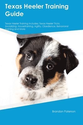 Texas Heeler Training Guide Texas Heeler Training Includes 1