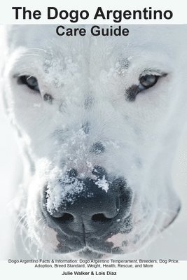 Dogo Argentino Care Guide. Dogo Argentino Facts & Information 1