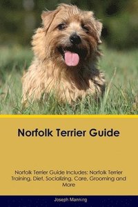 bokomslag Norfolk Terrier Guide Norfolk Terrier Guide Includes