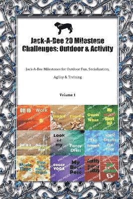 Jack-A-Bee 20 Milestone Challenges 1