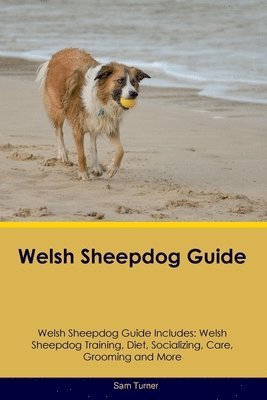 Sam Turner - Welsh Sheepdog Guide Welsh Sheepdog Guide Includes, Häftad