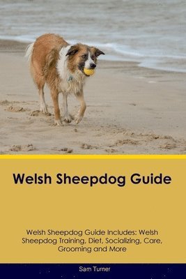 Welsh Sheepdog Guide Welsh Sheepdog Guide Includes 1