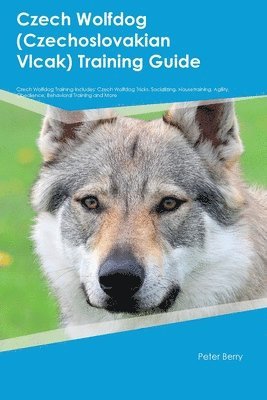 bokomslag Czech Wolfdog (Czechoslovakian Vlcak) Training Guide Czech Wolfdog Training Includes