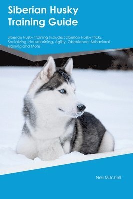 bokomslag Siberian Husky Training Guide Siberian Husky Training Includes