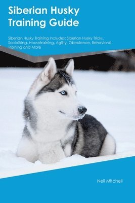 Siberian Husky Training Guide Siberian Husky Training Includes 1