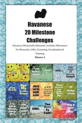 Todays Doggy - Havanese 20 Milestone Challenges Havanese Memorable Moments. Includes Milestones for Memories, Gifts, Grooming, Socialization & Training Volume 2, Häftad