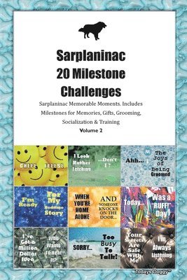 bokomslag Sarplaninac 20 Milestone Challenges Sarplaninac Memorable Moments. Includes Milestones for Memories, Gifts, Grooming, Socialization & Training Volume 2