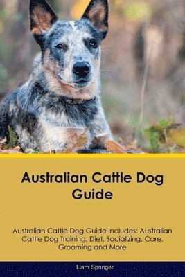 Liam Springer - Australian Cattle Dog Guide Australian Cattle Dog Guide Includes, Häftad