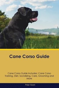 bokomslag Cane Corso Guide Cane Corso Guide Includes