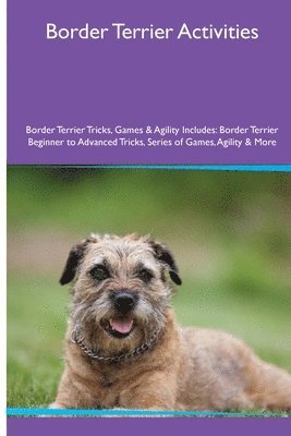 bokomslag Border Terrier Activities Border Terrier Tricks, Games & Agility. Includes