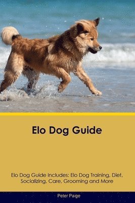 Peter Paige - Elo Dog Guide Elo Dog Guide Includes, Häftad