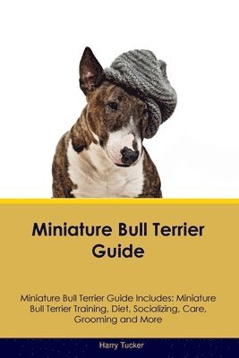 bokomslag Miniature Bull Terrier Guide Miniature Bull Terrier Guide Includes