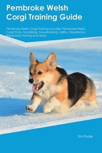 bokomslag Pembroke Welsh Corgi Training Guide Pembroke Welsh Corgi Training Includes