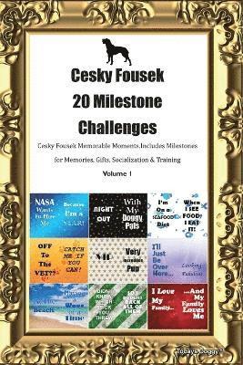 bokomslag Cesky Fousek 20 Milestone Challenges Cesky Fousek Memorable Moments. Includes Milestones for Memories, Gifts, Socialization & Training Volume 1