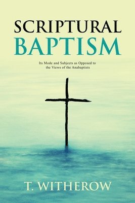 bokomslag Scriptural Baptism