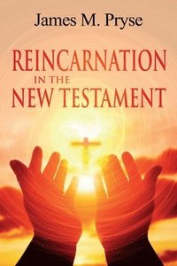 bokomslag Reincarnation in the New Testament