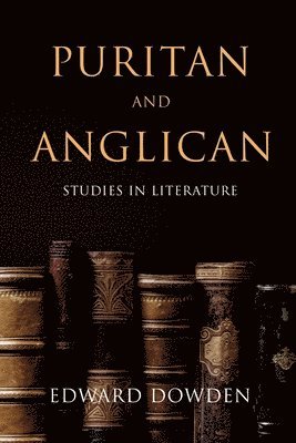 bokomslag Puritan and Anglican