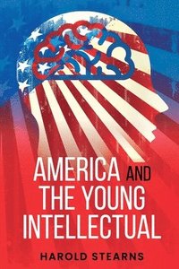 bokomslag America and the Young Intellectual