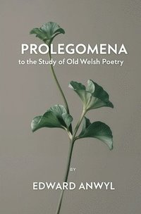 bokomslag Prolegomena to the Study of Old Welsh Poetry