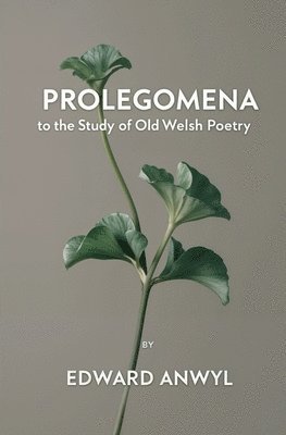 bokomslag Prolegomena to the Study of Old Welsh Poetry