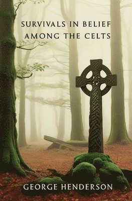 bokomslag Survivals in Belief Among the Celts