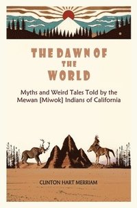 bokomslag Dawn of the World