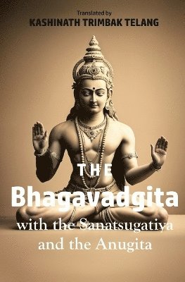 bokomslag Bhagavadgita