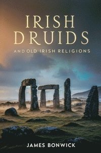 bokomslag Irish Druids And Old Irish Religions