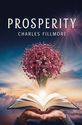bokomslag Prosperity