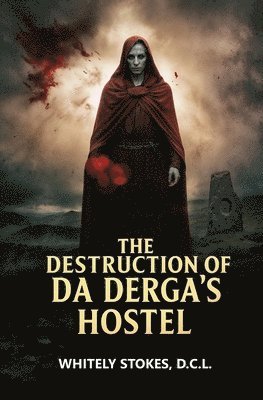 bokomslag Destruction of Da Derga's Hostel