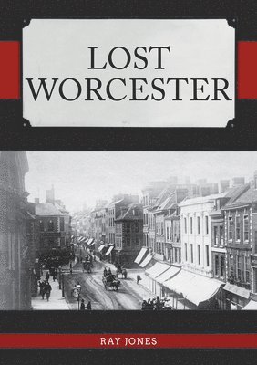 bokomslag Lost Worcester