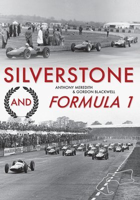 Silverstone and Formula 1 1