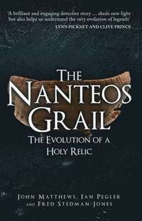 bokomslag The Nanteos Grail