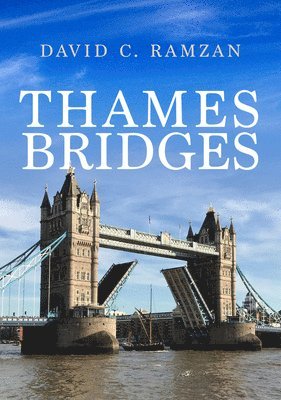 David C. Ramzan, David C Ramzan - Thames Bridges, Häftad