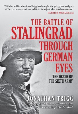 bokomslag The Battle of Stalingrad Through German Eyes