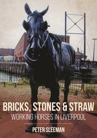 bokomslag Bricks, Stones and Straw: Working Horses in Liverpool