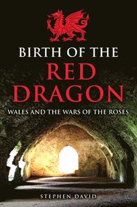 bokomslag Birth of the Red Dragon