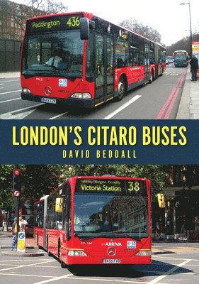 London's Citaro Buses 1