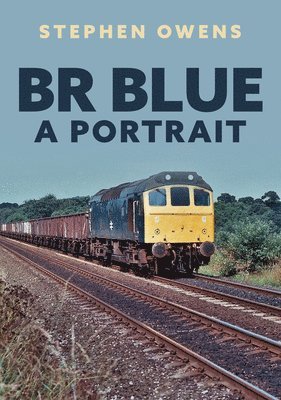 Stephen Owens - BR Blue: A Portrait, Häftad
