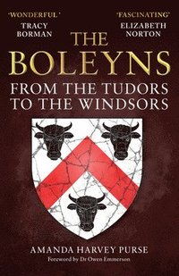 bokomslag The Boleyns