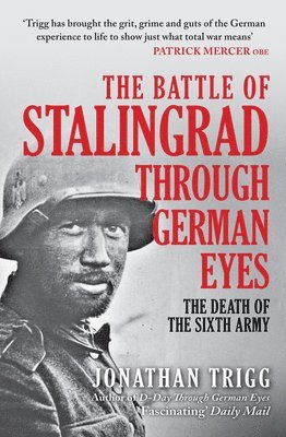 bokomslag The Battle of Stalingrad Through German Eyes