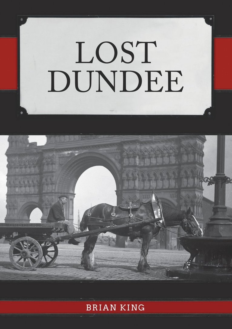 Brian King - Lost Dundee, Häftad