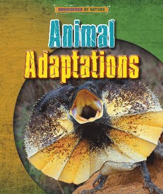 Animal Adaptations 1