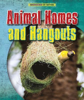 bokomslag Animal Homes and Hang-outs