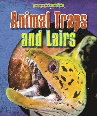 bokomslag Animal Traps and Lairs