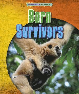 Born Survivors 1