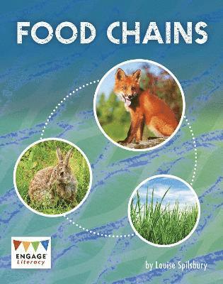 bokomslag Food Chains